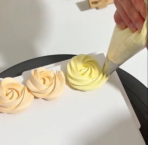 12 Piece Cake Icing Frosting Piping Bag