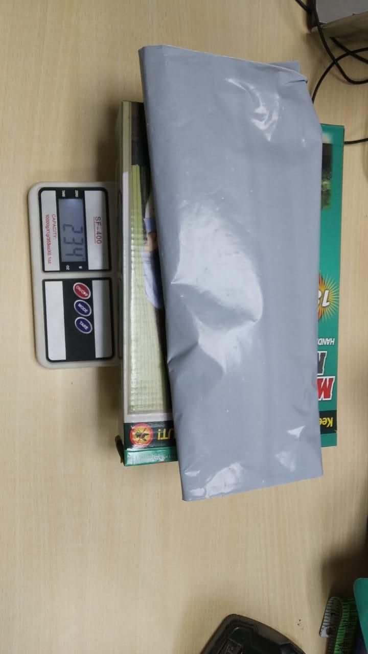 Net Magnetic Foldable Door Curtains